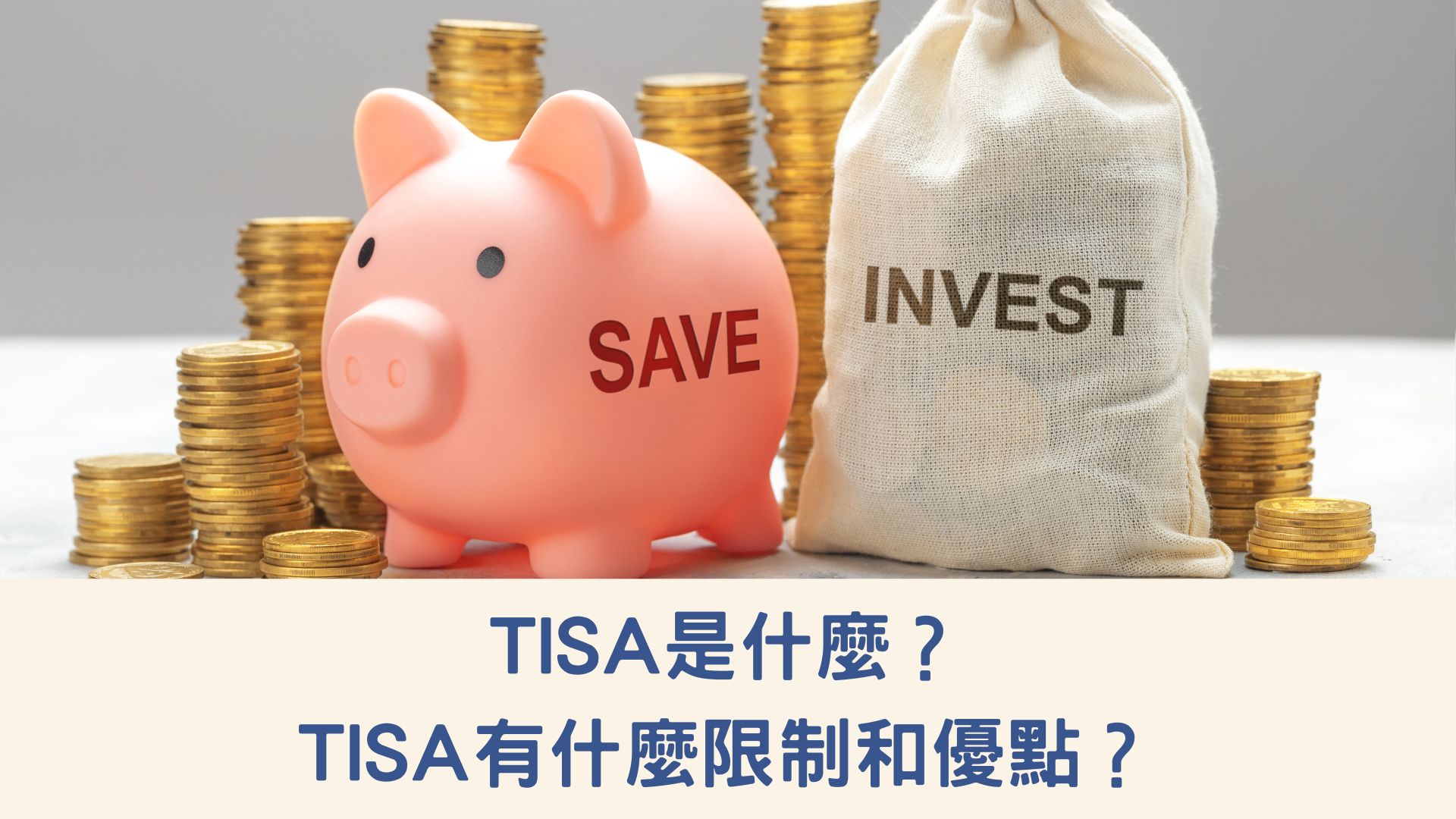 TISA是什麼？TISA有什麼限制和優點？